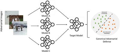 Leveraging linear mapping for model-agnostic adversarial defense